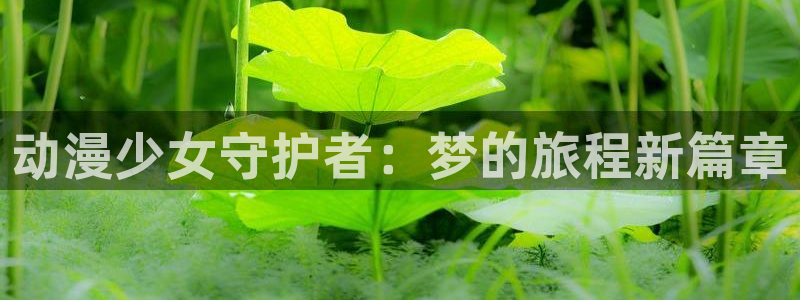 动漫网页导航：动漫少女守护者：梦的旅程新篇章