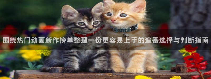 玄幻动漫推荐:围绕热门动画新作榜单整理一份更容易上手的追番选择与判断指南