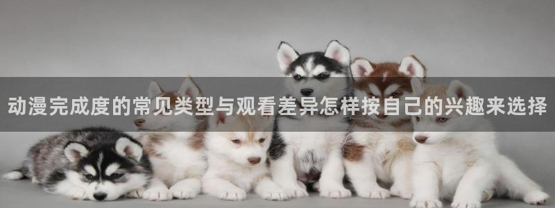 高分动漫:动漫完成度的常见类型与观看差异怎样按自己的兴趣来选择