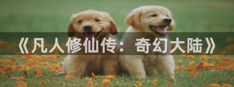 经典动画推荐：《凡人修仙传：奇幻大陆》