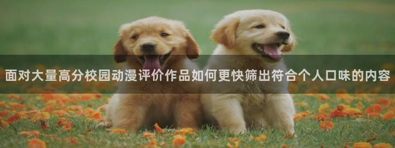 国产动画：面对大量高分校园动漫评价作品如何更快筛出符合个人口味的内容