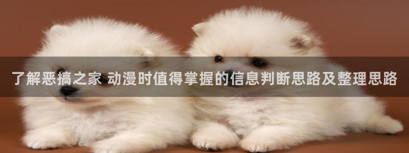 在线动漫网站:了解恶搞之家 动漫时值得掌握的信息判断思路及整理思路