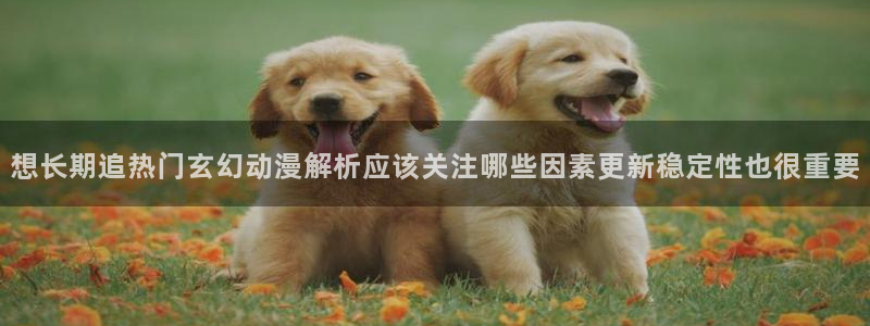 动漫在线:想长期追热门玄幻动漫解析应该关注哪些因素更新稳定性也很重要