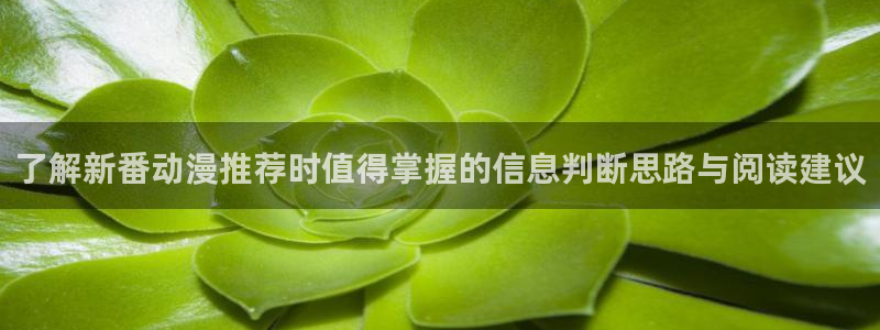 动漫评分排行:了解新番动漫推荐时值得掌握的信息判断思路与阅读建议