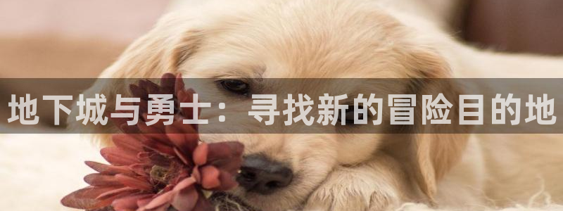 必看动漫推荐:地下城与勇士:寻找新的冒险目的地