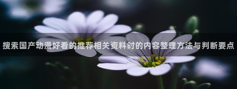 动漫网站导航：搜索国产动漫好看的推荐相关资料时的内容整理方法与判断要点