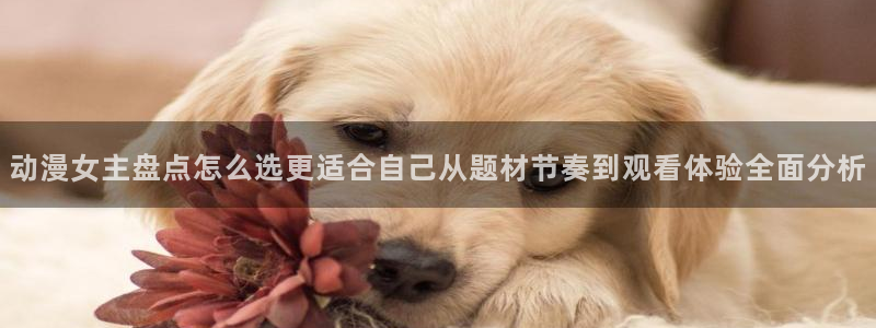 本季新番：动漫女主盘点怎么选更适合自己从题材节奏到观看体验全面分析