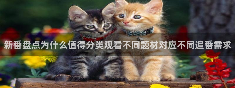 日漫推荐：新番盘点为什么值得分类观看不同题材对应不同追番需求