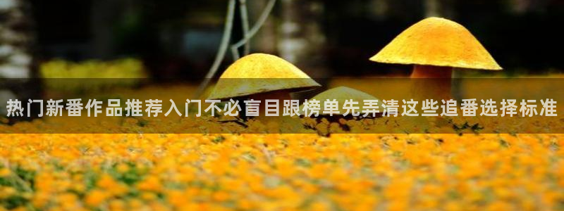 动漫网页版:热门新番作品推荐入门不必盲目跟榜单先弄清这些追番选择标准